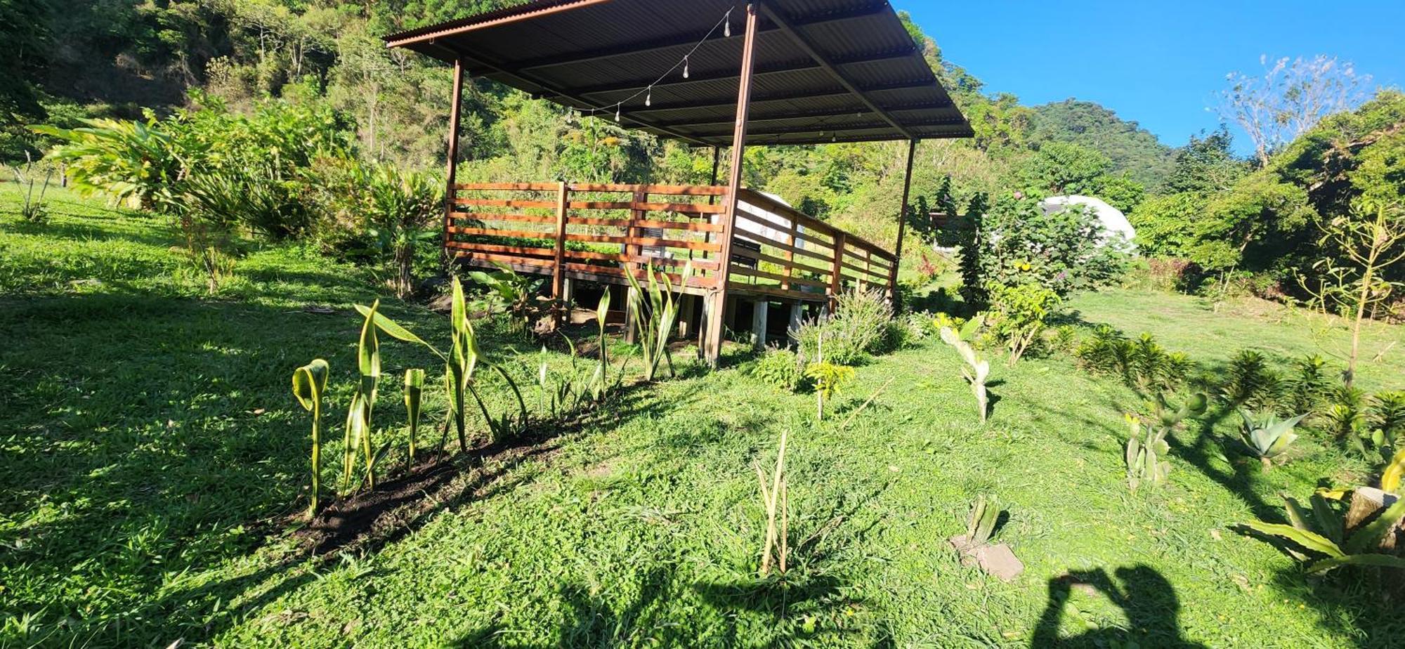 Lodge Glamping *
