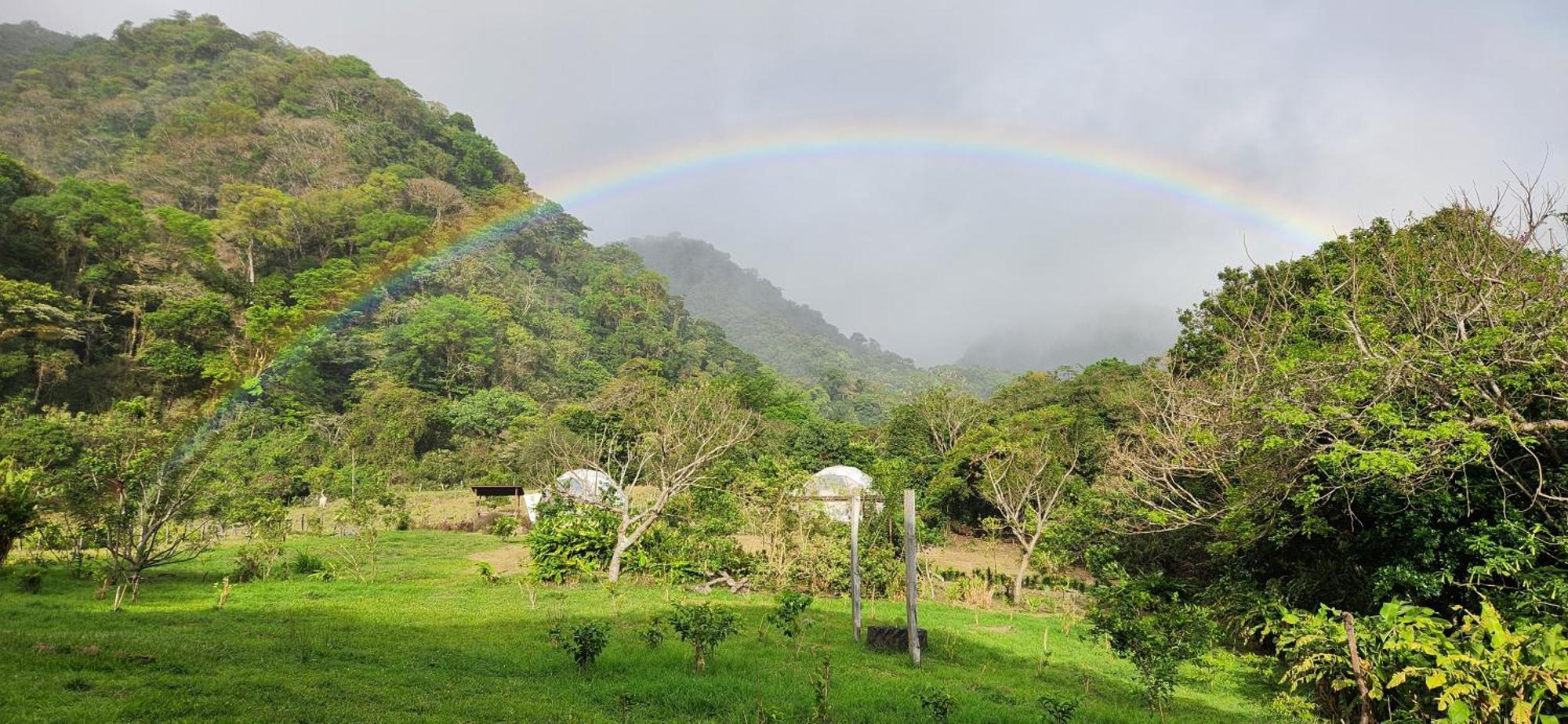 Lodge Glamping Monteverde