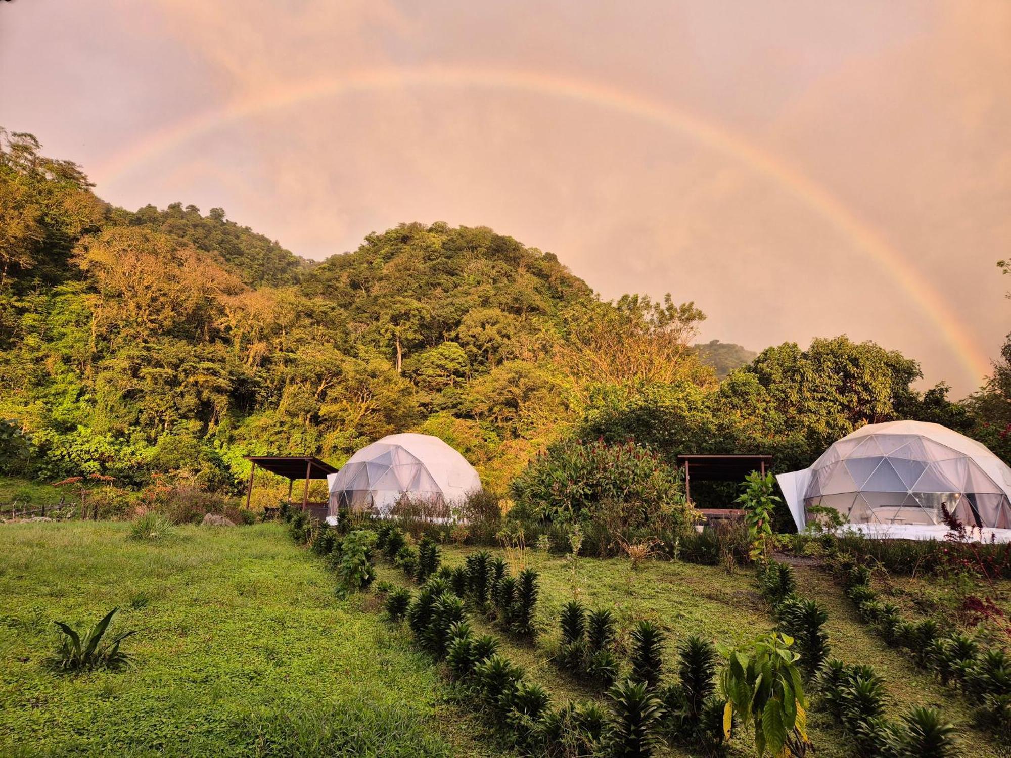 Glamping Monteverde
