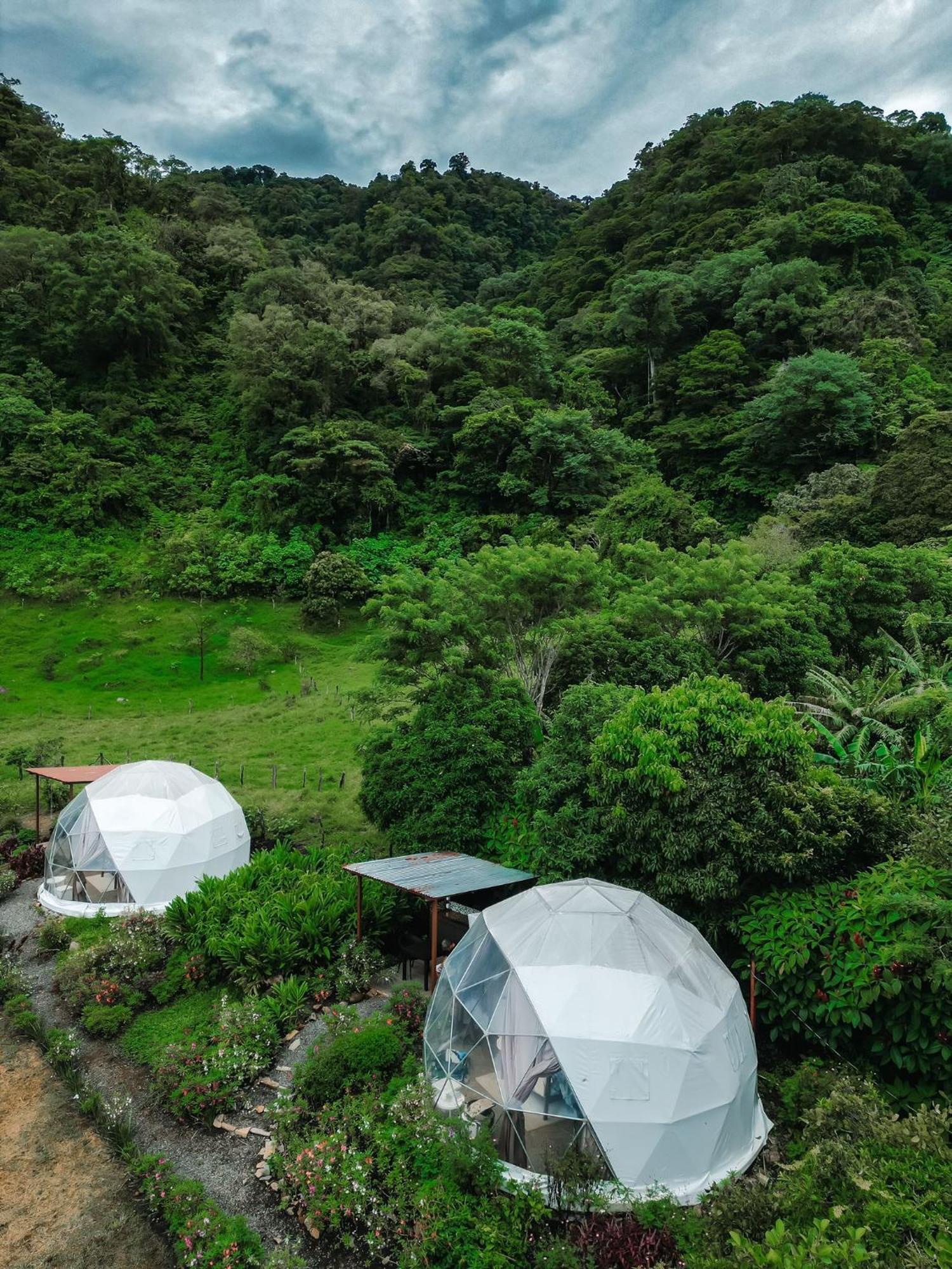 Glamping Monteverde