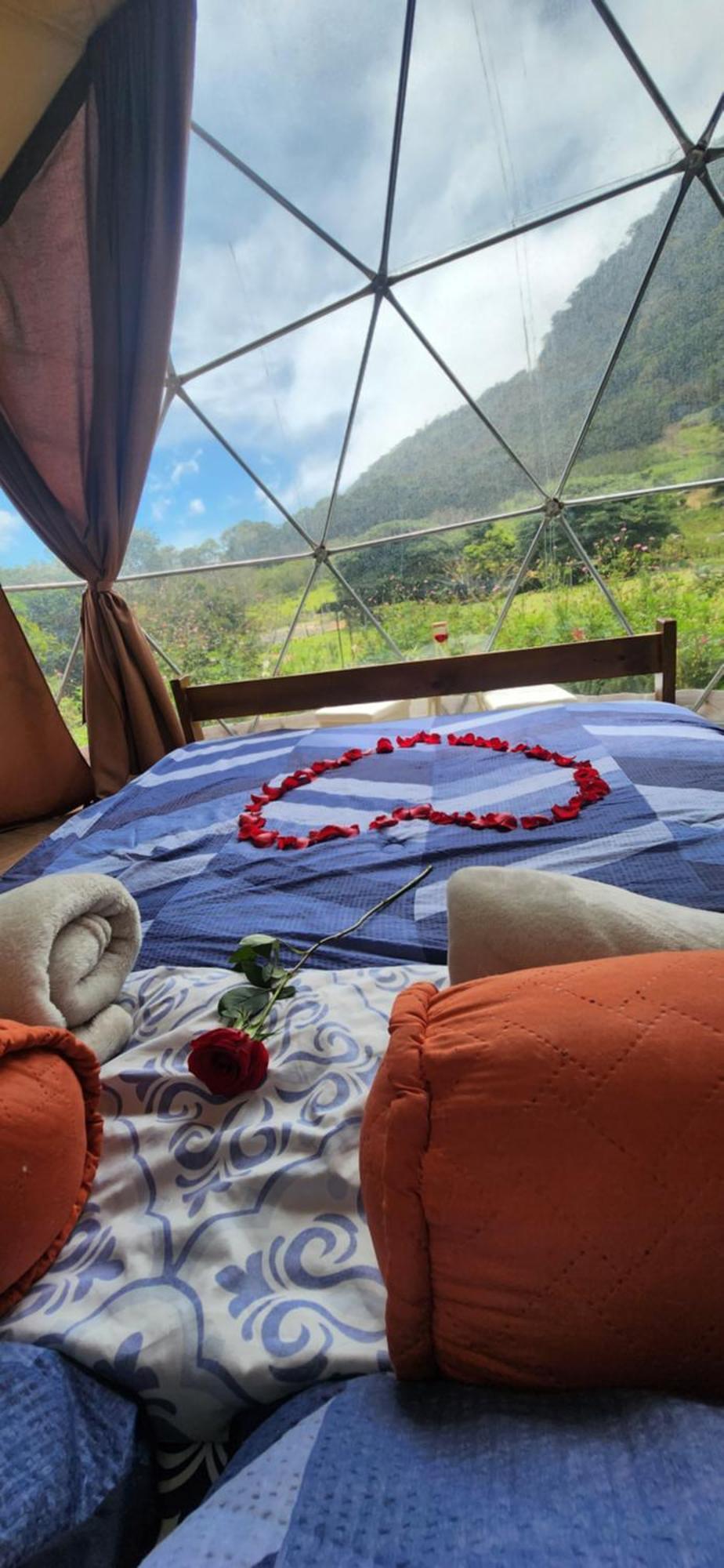 Glamping Lodge *