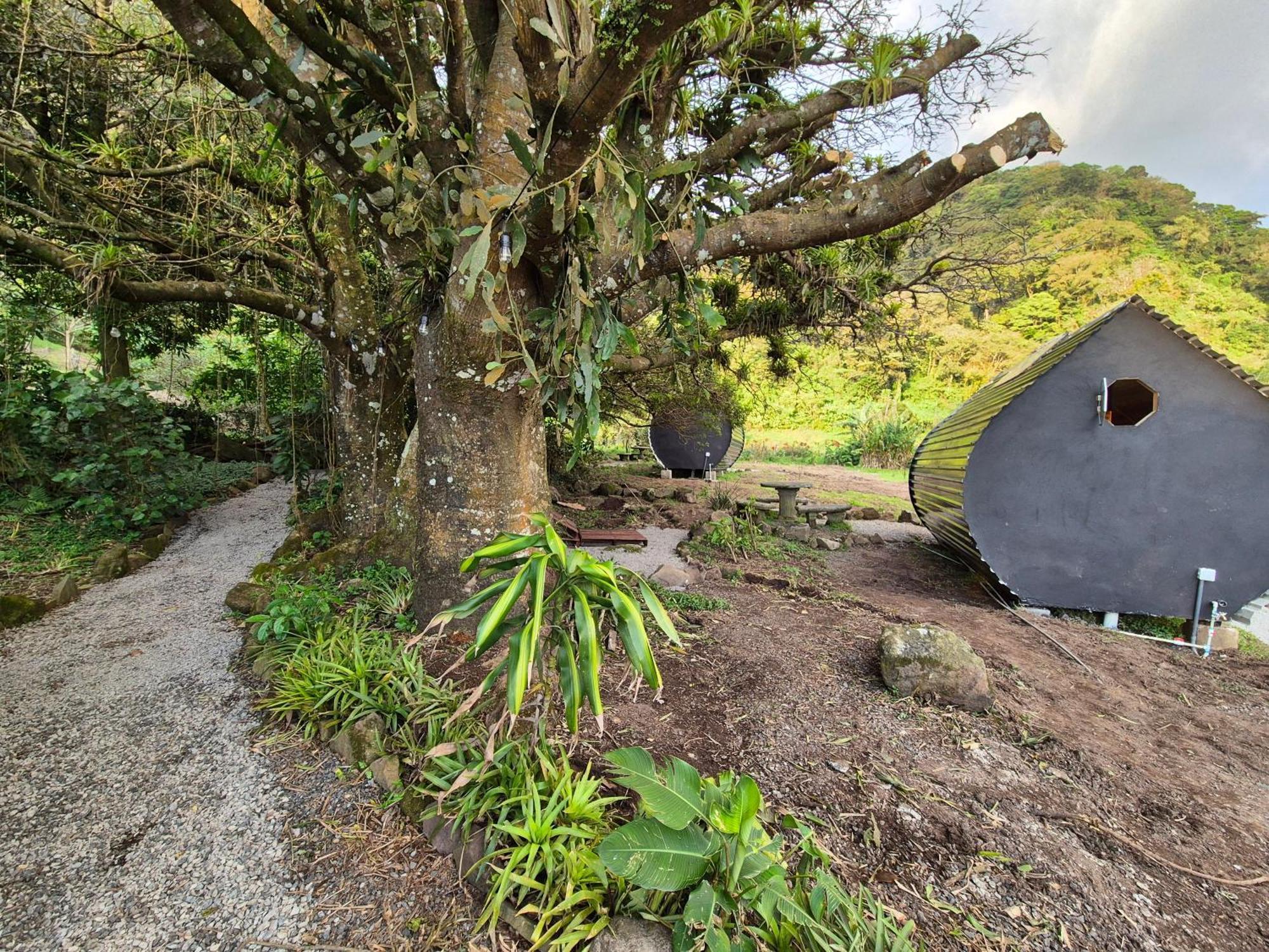 Glamping Lodge Monteverde